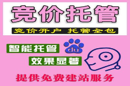 SEM优化托管：成功提升广告转化率的案例分析